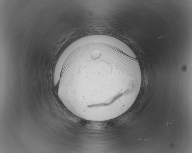 X0000116130661201001041012