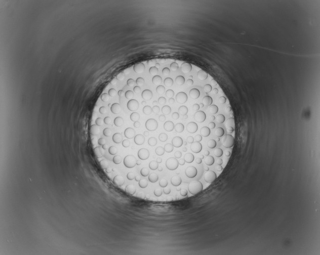 X0000116130666201001041012