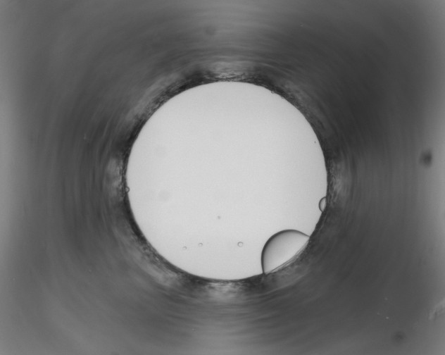 X0000116130667201001041013