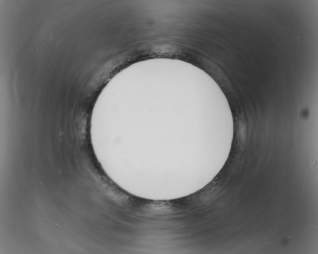 X0000116130668201001041013