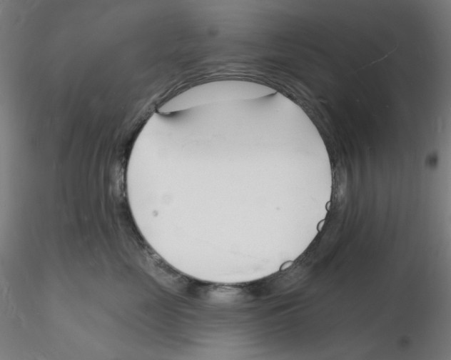 X0000116130669201001041013