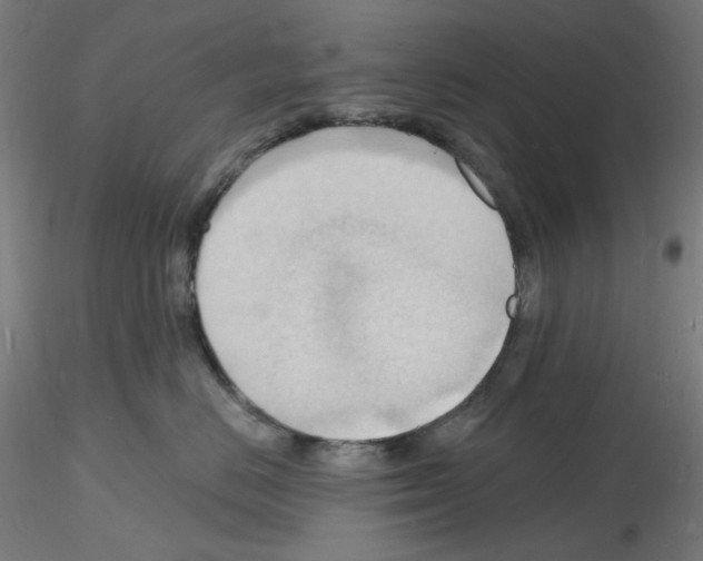 X0000116130670201001041013