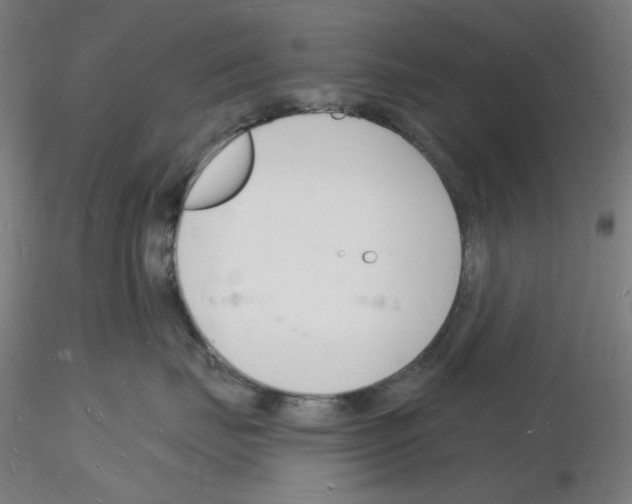 X0000116130671201001041013