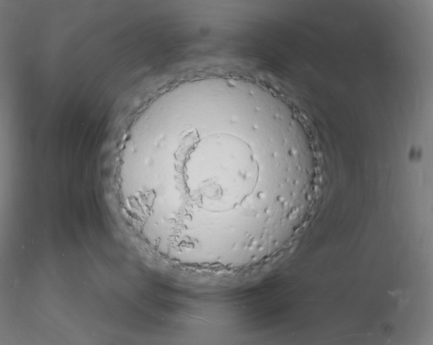 X0000116130672201001041013