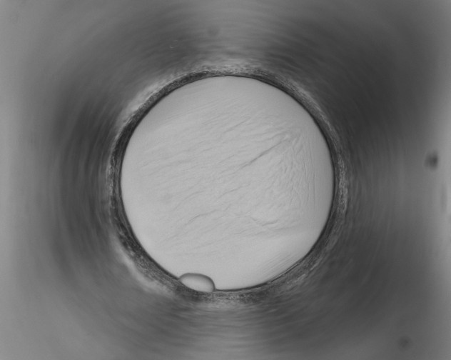 X0000116130674201001041012
