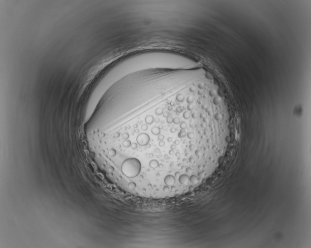 X0000116130675201001041012