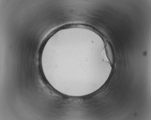 X0000116130676201001041012