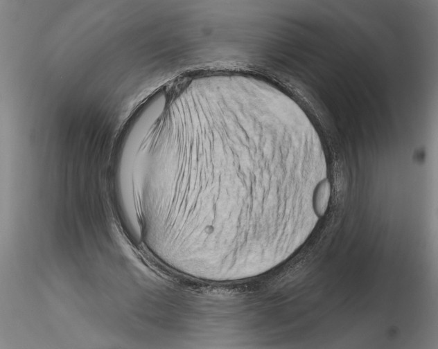 X0000116130677201001041012
