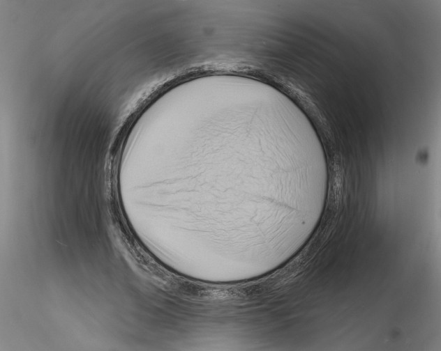 X0000116130678201001041012