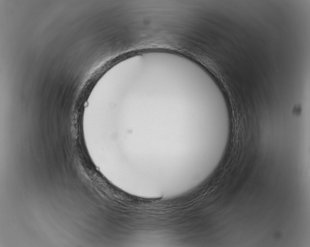 X0000116130680201001041012