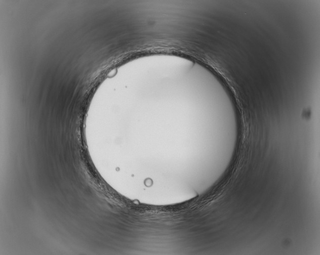 X0000116130681201001041012