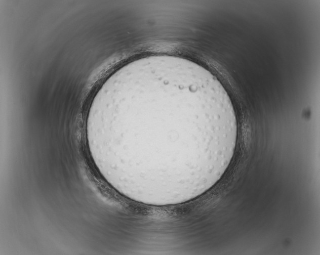 X0000116130682201001041012