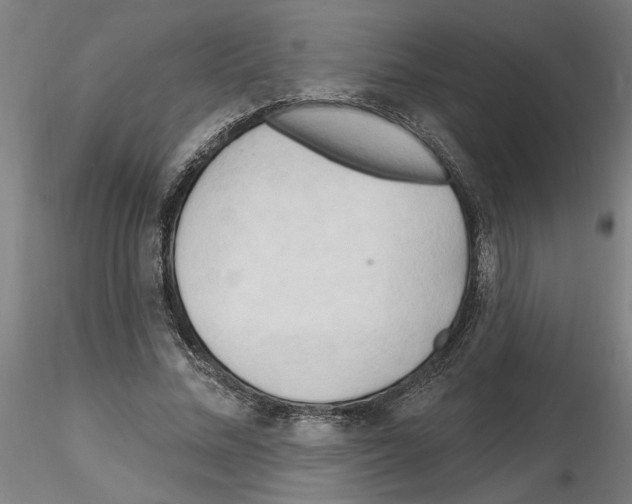 X0000116130684201001041012