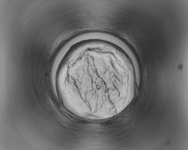 X0000116130685201001041012