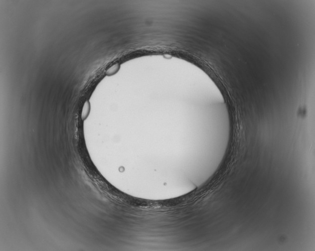 X0000116130688201001041012