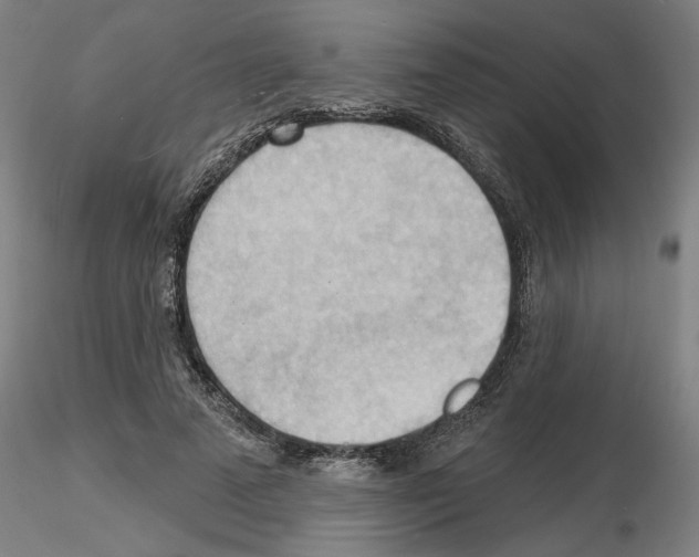 X0000116130689201001041012