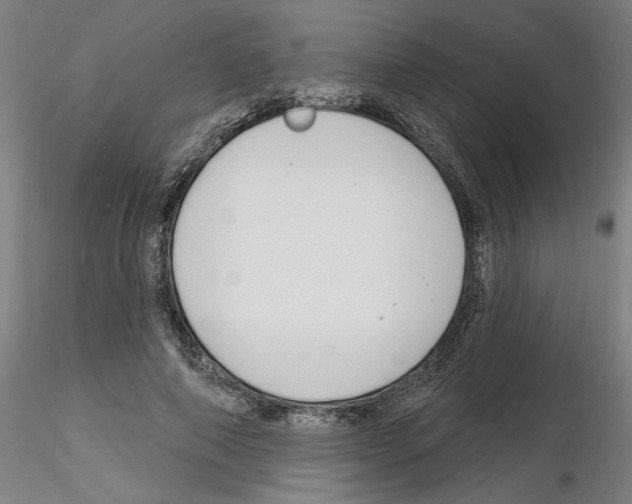 X0000116130690201001041012