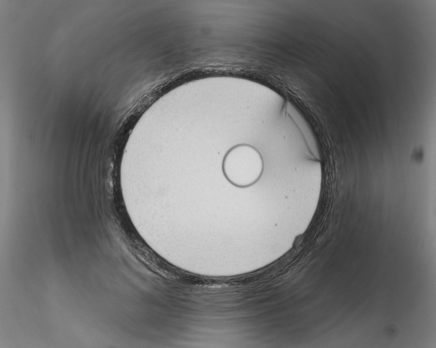 X0000116130692201001041012