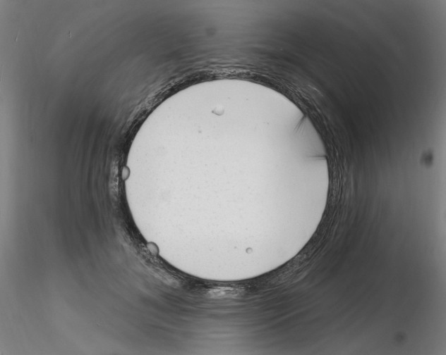 X0000116130700201001041012