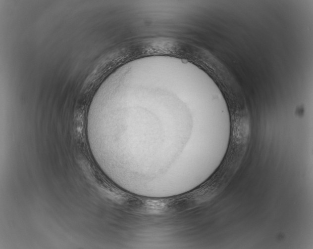 X0000116130701201001041012