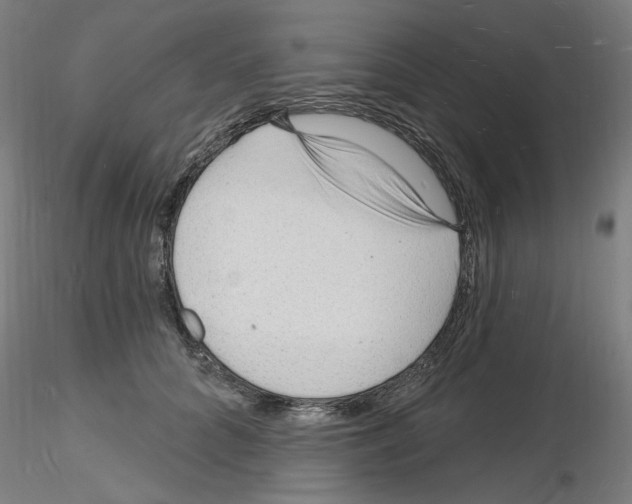 X0000116130704201001041012