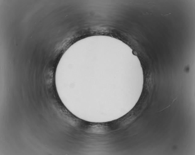 X0000116130708201001041011
