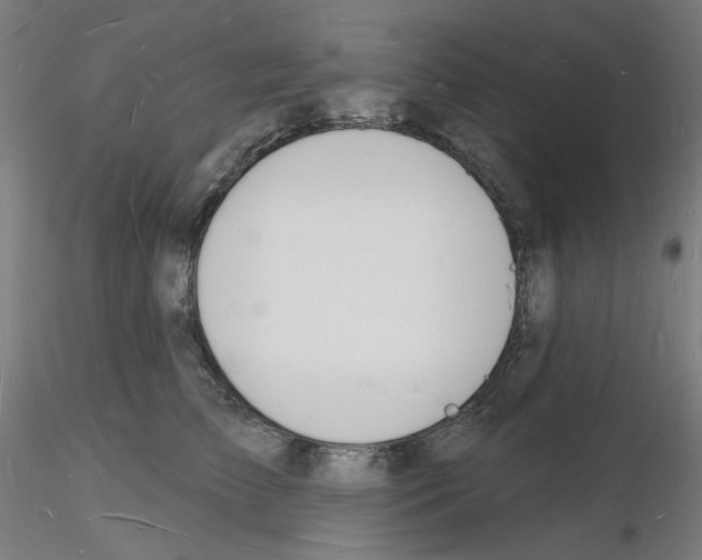 X0000116130709201001041011