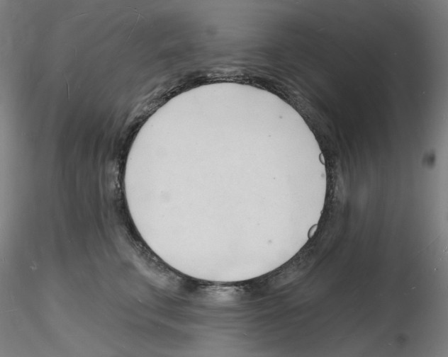 X0000116130711201001041011
