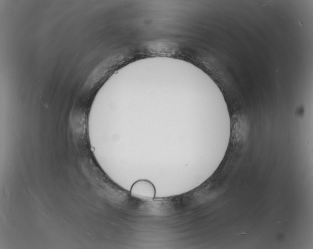 X0000116130713201001041011
