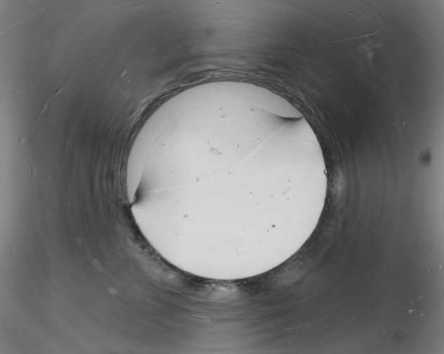 X0000116130715201001041011