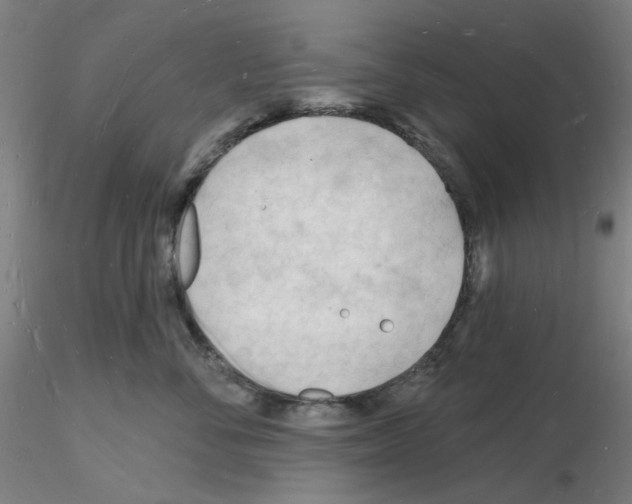 X0000116130716201001041011