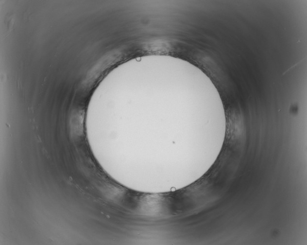 X0000116130717201001041011