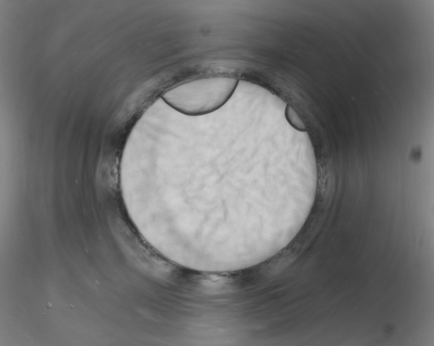 X0000116130718201001041011