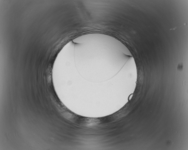 X0000116130719201001041011