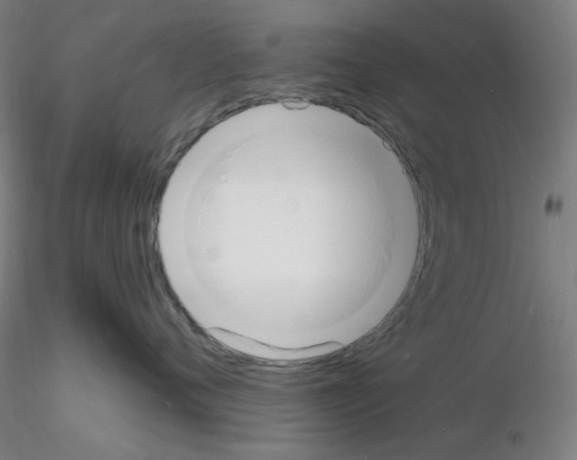 X0000116130720201001041011