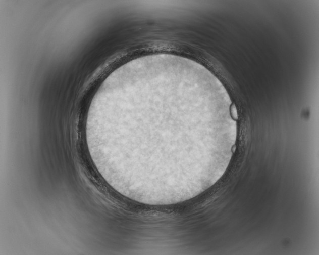 X0000116130722201001041011