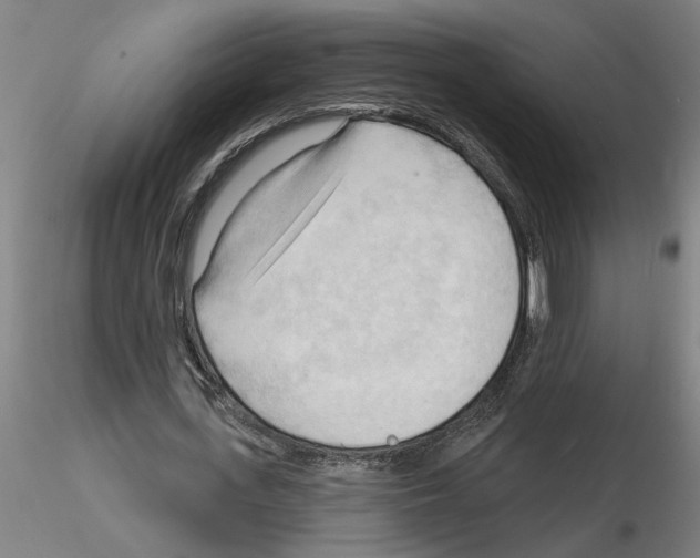 X0000116130723201001041011