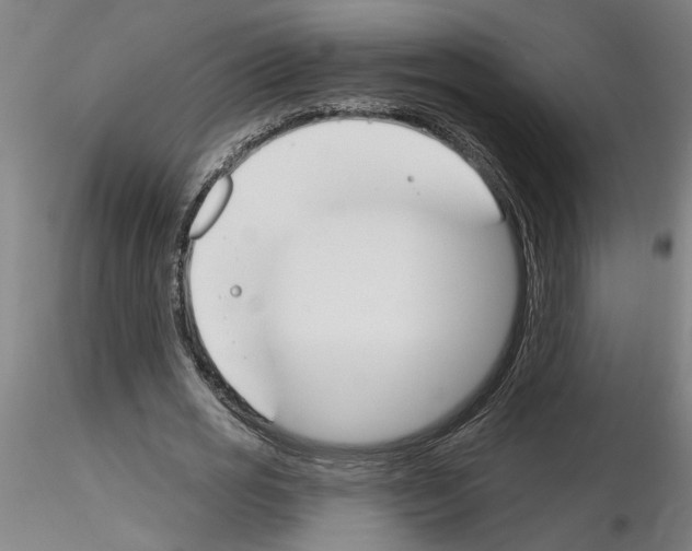 X0000116130725201001041011