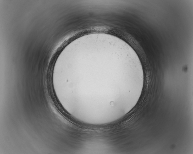 X0000116130726201001041011