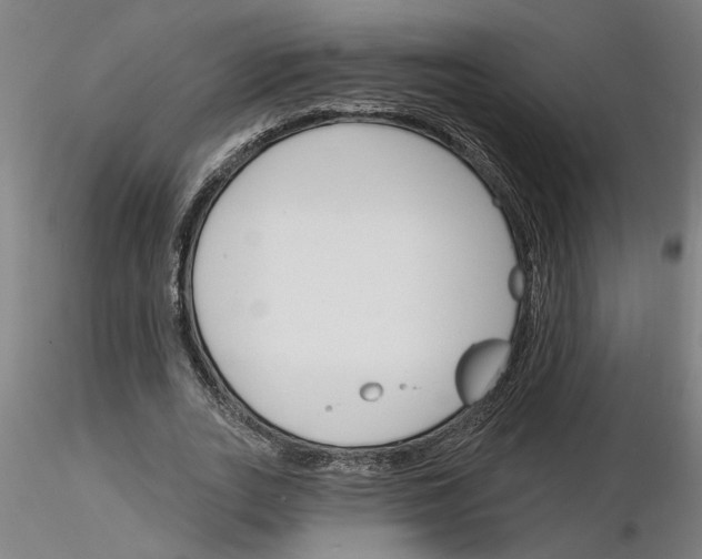 X0000116130727201001041011