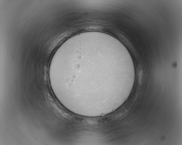 X0000116130729201001041011