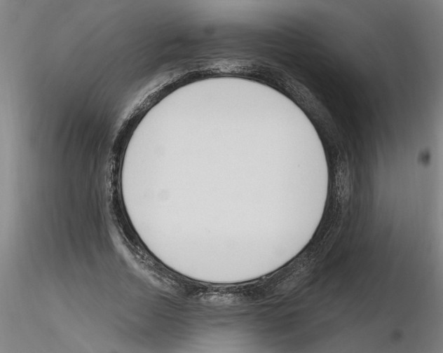 X0000116130730201001041011