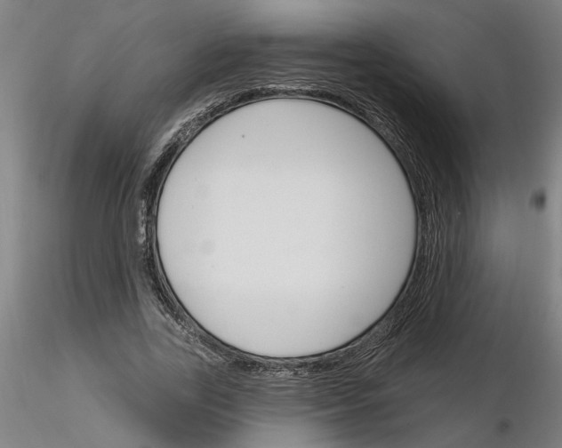 X0000116130731201001041011