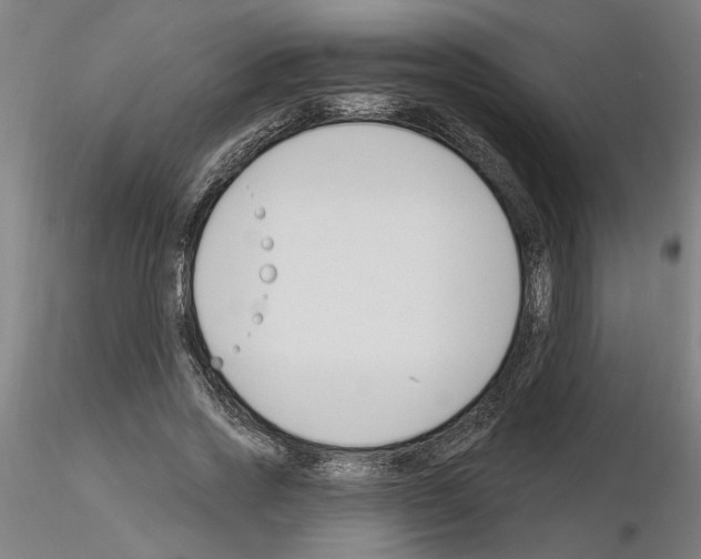 X0000116130733201001041011