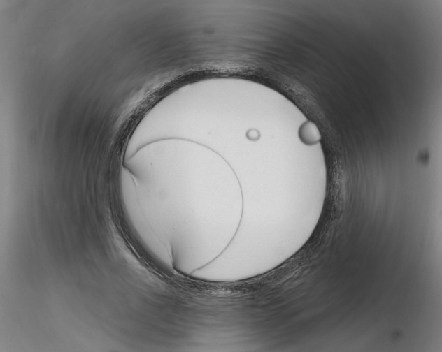 X0000116130734201001041011