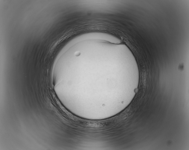 X0000116130735201001041011