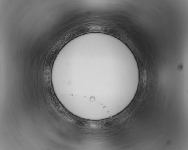 X0000116130737201001041011