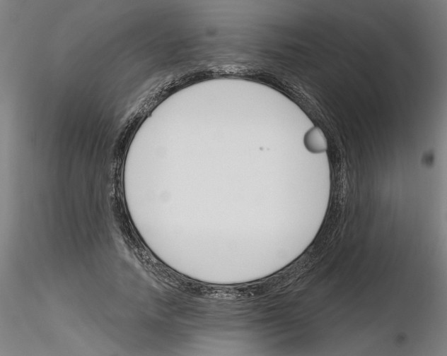 X0000116130738201001041011