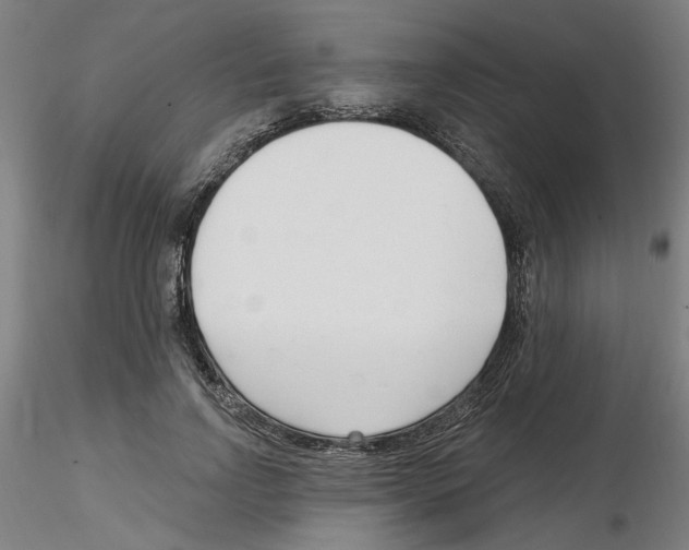 X0000116130742201001041011