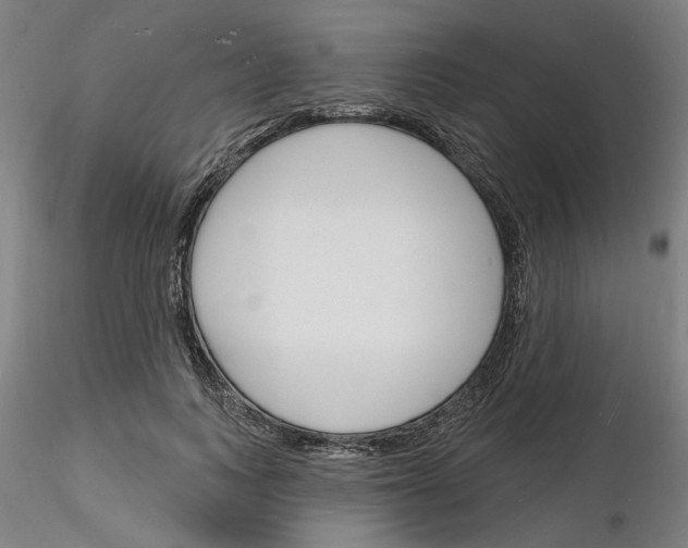 X0000116130743201001041011
